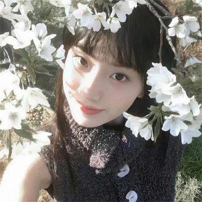 牧场随想曲